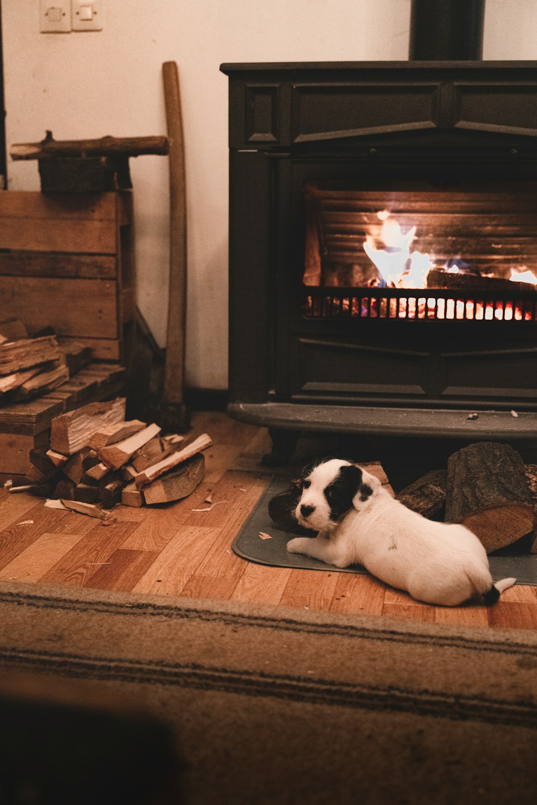 footer-cta Dog by the fire